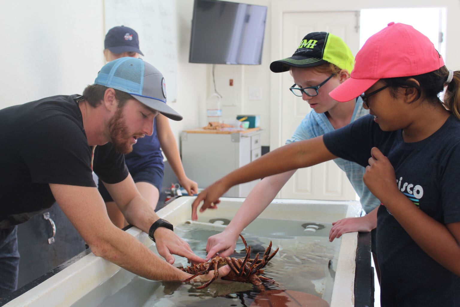 A staff member showing campers a lobster.