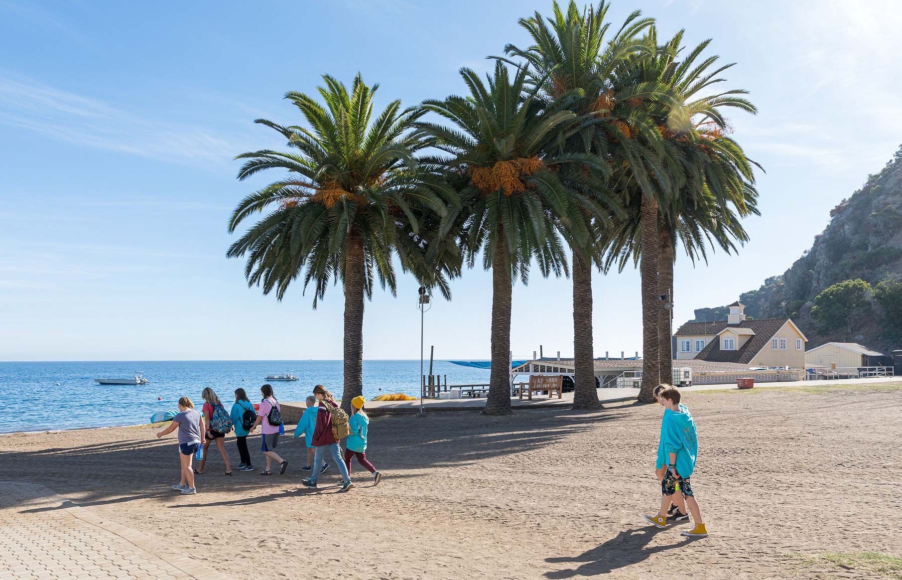 Campers walking on a beach with palm trees in the background.