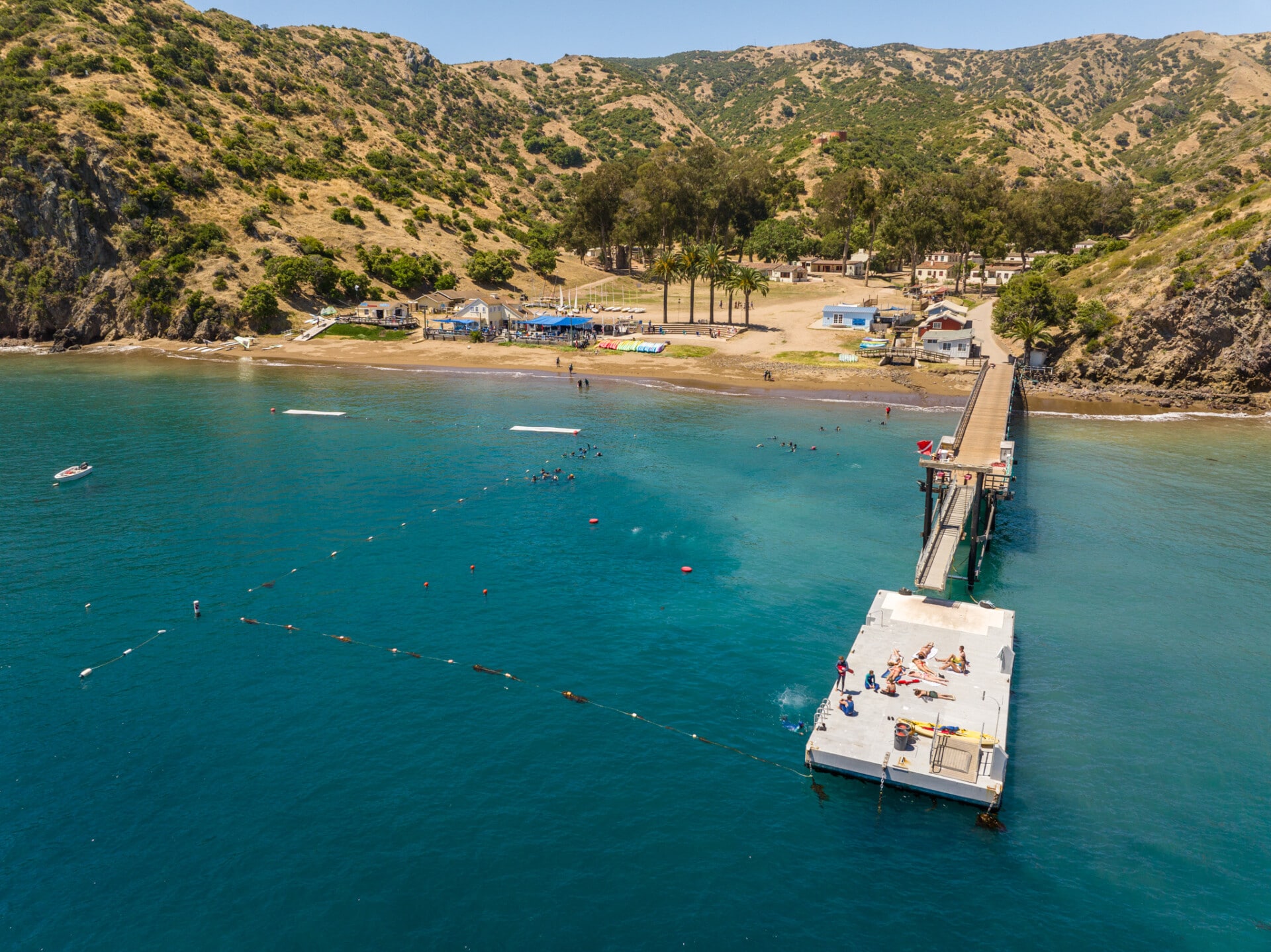 An ocean-facing view of Catalina Sea Camp on Catalina Island, showing the seaside campus where campers explore marine science and adventure.